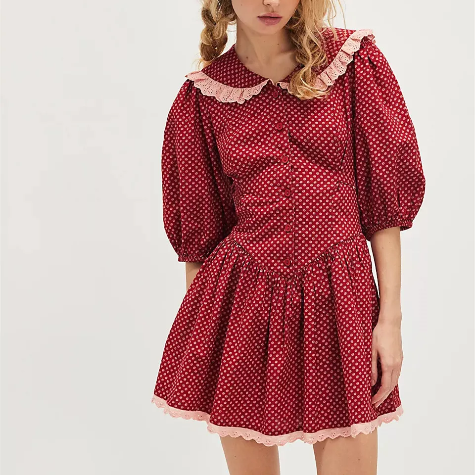 Ellen Lace Collar Mini Dress - Image 3