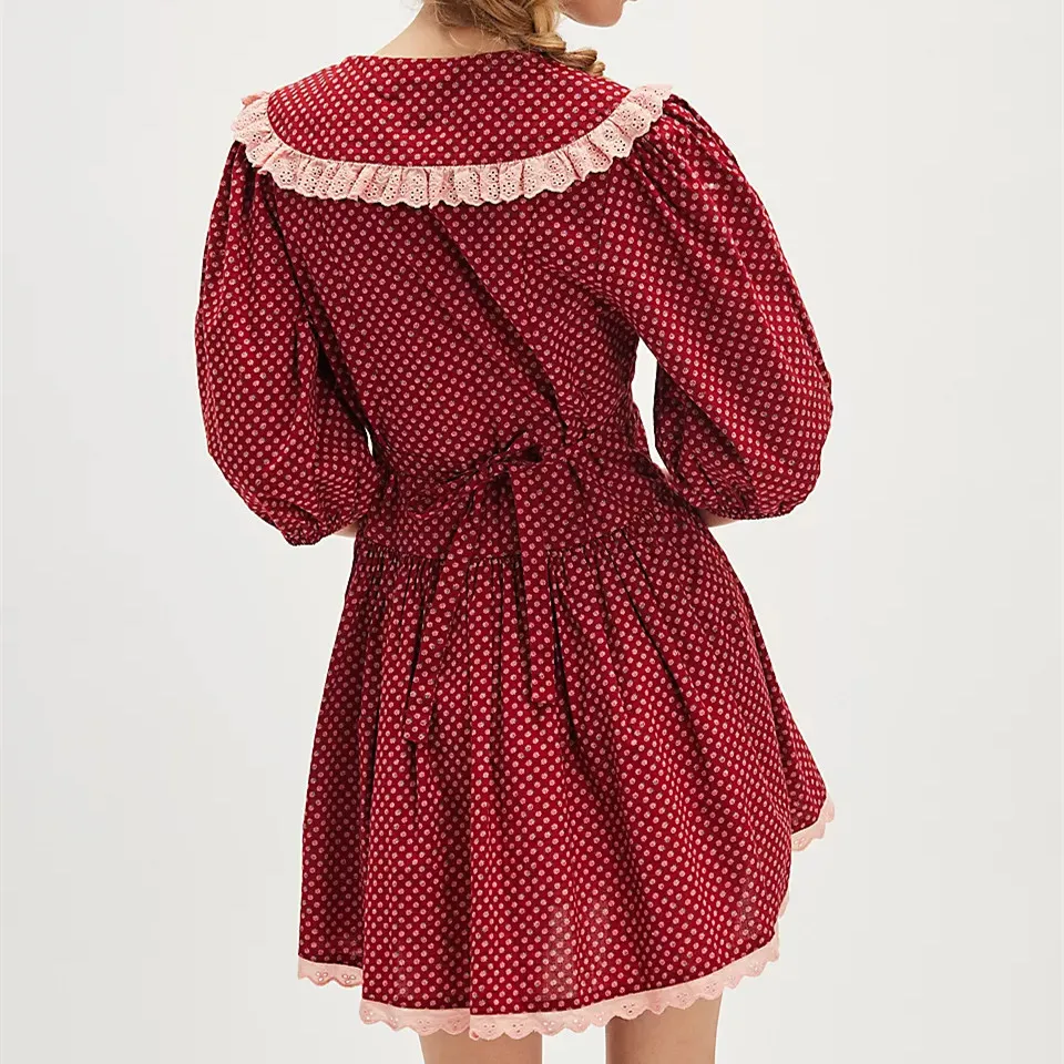 Ellen Lace Collar Mini Dress - Image 4