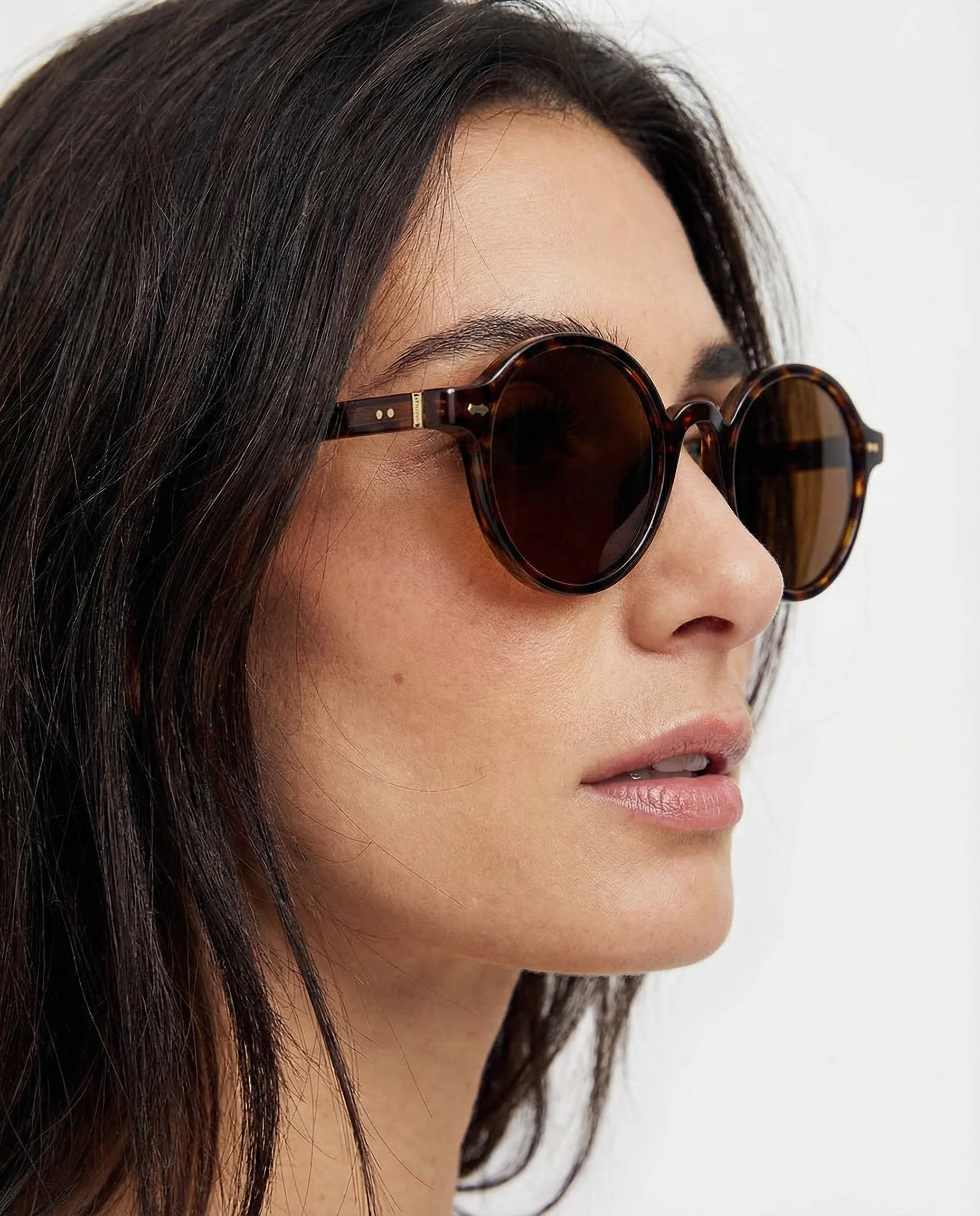 The Santa Cruz Shades - Image 13